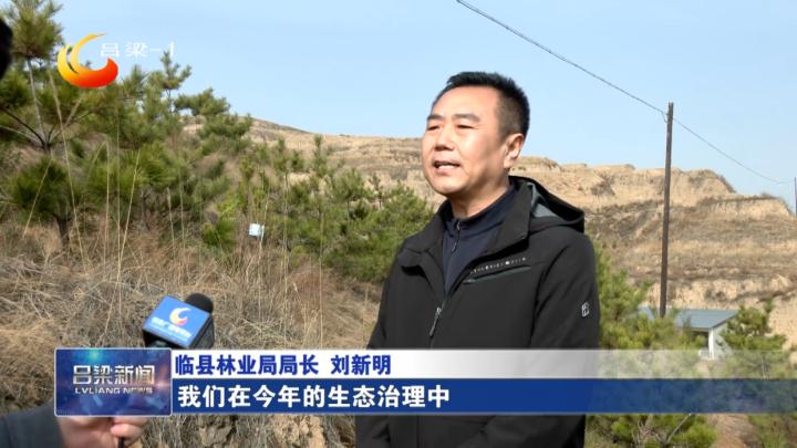 吕梁，历史底蕴与现代魅力的交织探寻之旅