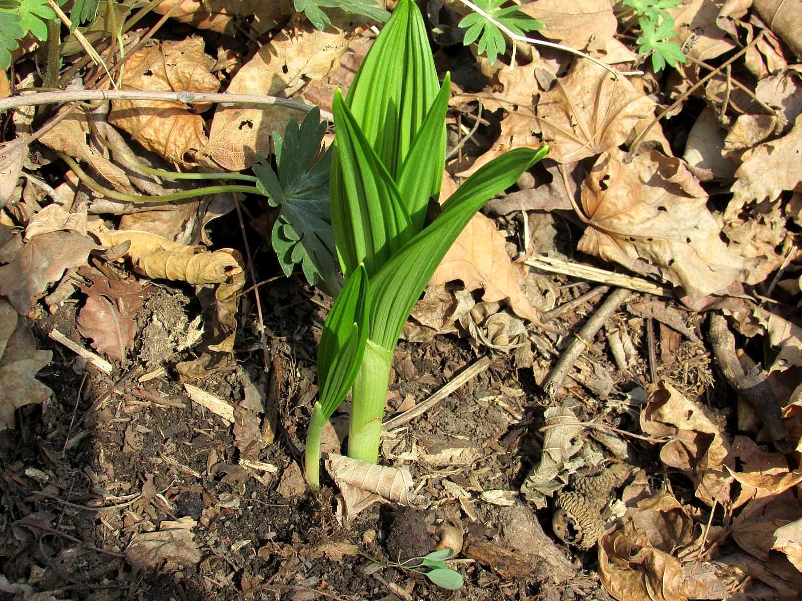 本溪，暖阳下的友情时光