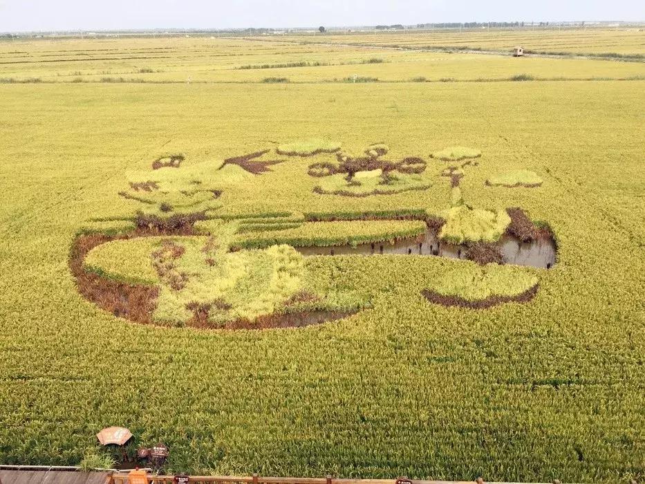 盘锦，美丽土地的独特魅力🌿