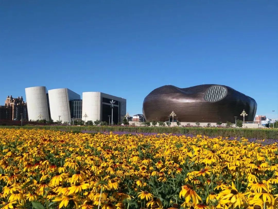 鄂尔多斯暖阳时光，感受塞上江南的温暖时光