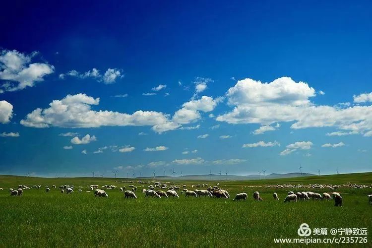 探寻呼伦贝尔的辽阔之美